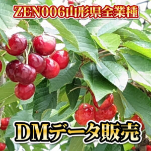 ZEN006