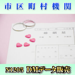 N1205