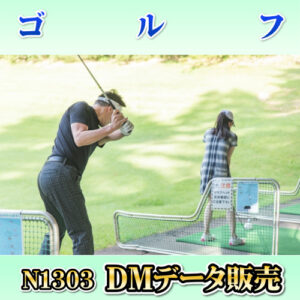 N1303