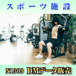 N1309
