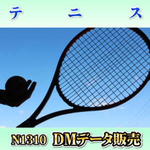 N1310