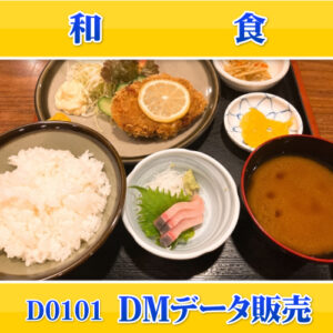 D0101