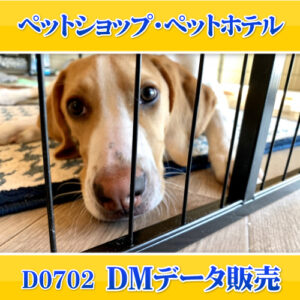 D0702