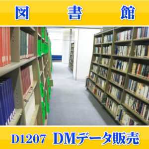 D1207