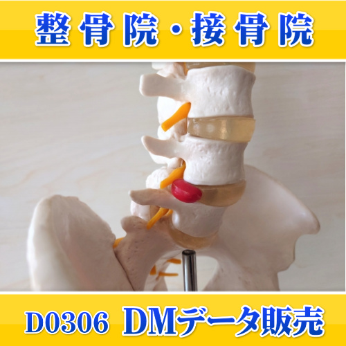 D0306
