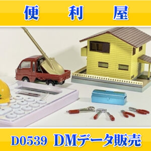 D0539