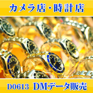 D0613