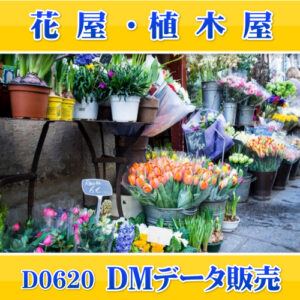 D0620