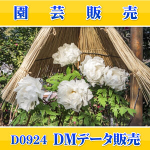 D0924
