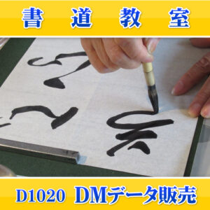 D1020