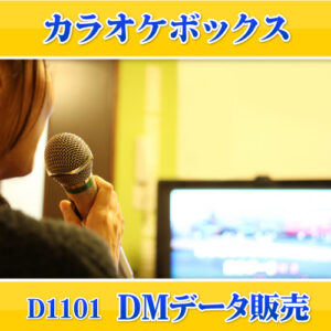 D1101