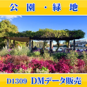 D1309