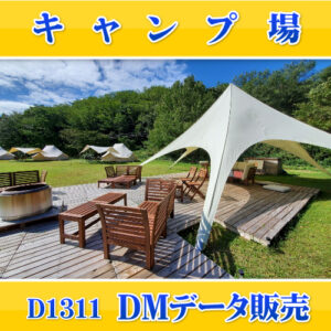 D1311