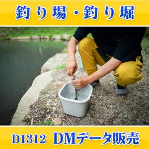 D1312