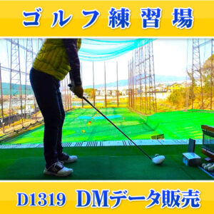 D1319