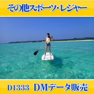 D1333
