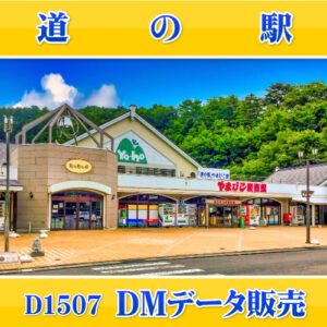 D1507